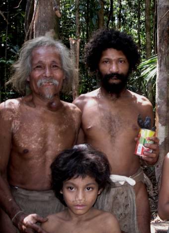 Jungle_Schools3a.jpg Jungle_Schools3a.jpg