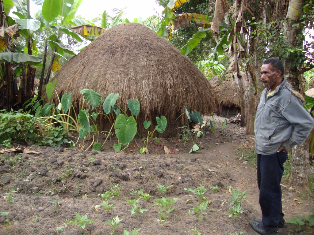 Dani man in front of sweet potatoes, taro, bananas and hut- Jeff Neilson neilson resized