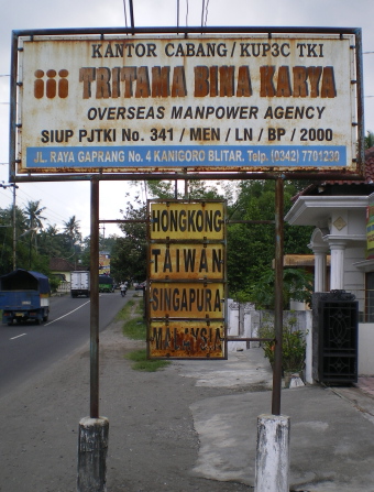 Agents advertise their services / Wayne Palmer